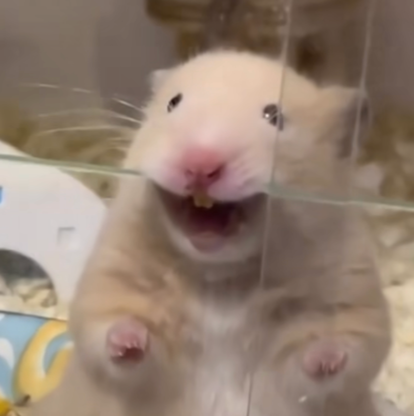 手續費和人工費