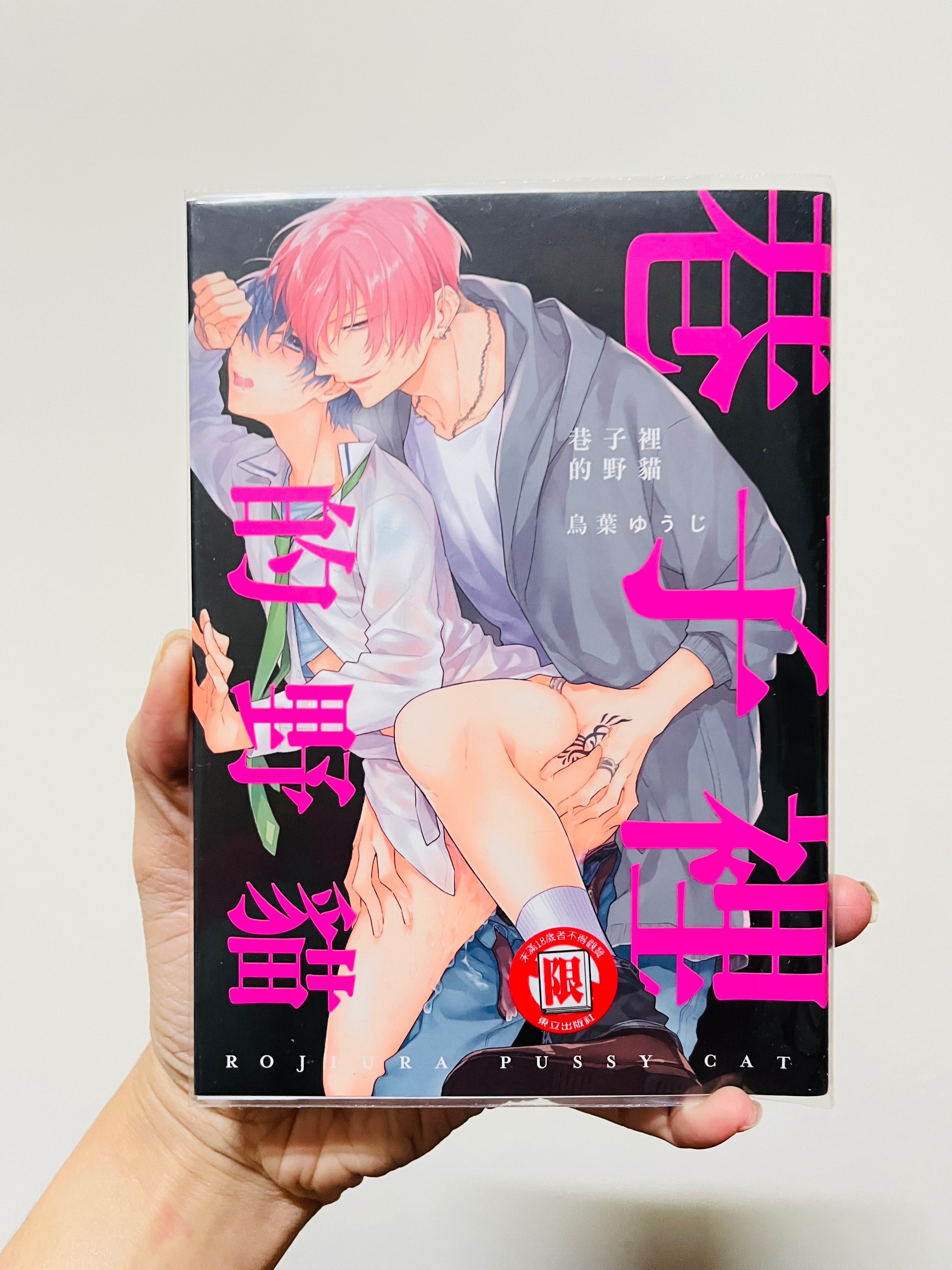 二手_巷子裡的野貓（含書套）