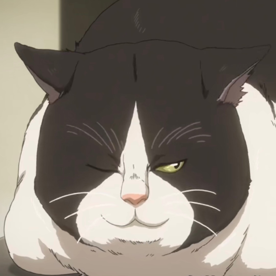 包手
