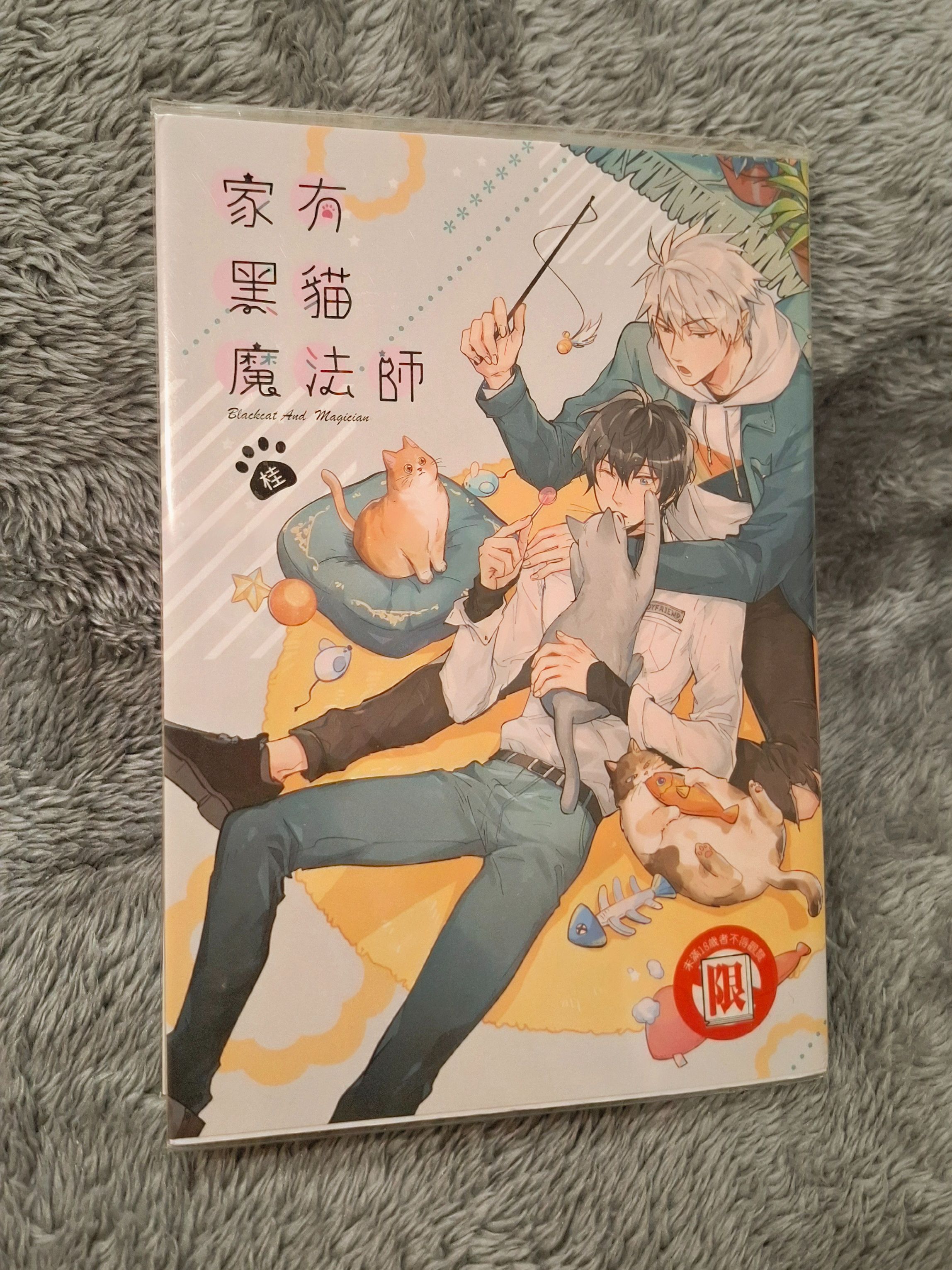 《家有黑貓魔法師》