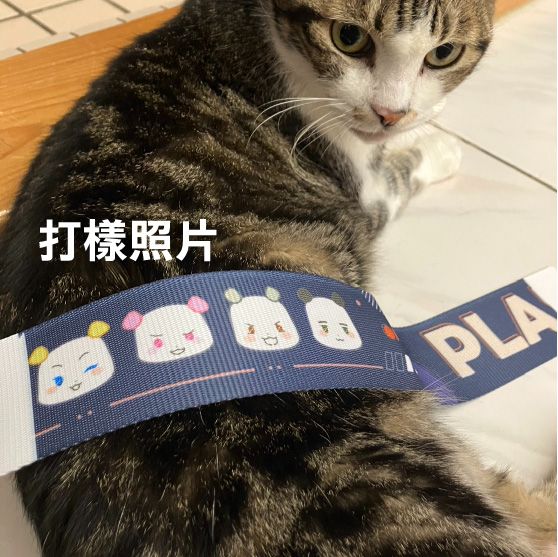 PLAVE行李束帶台噗版