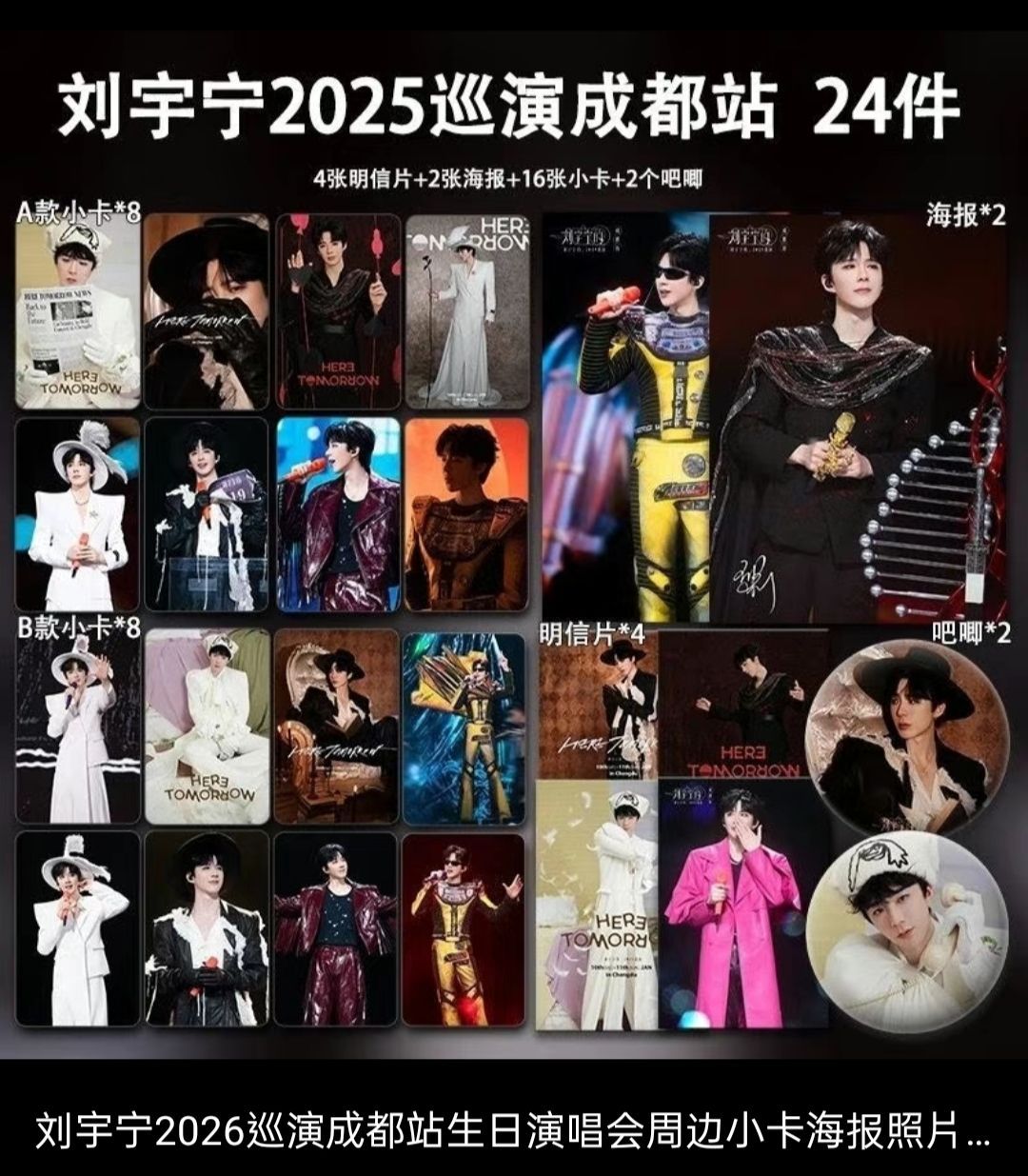 劉宇寧非官方系列周邊/成都演唱會24件/2025巡迴演唱會寫真冊