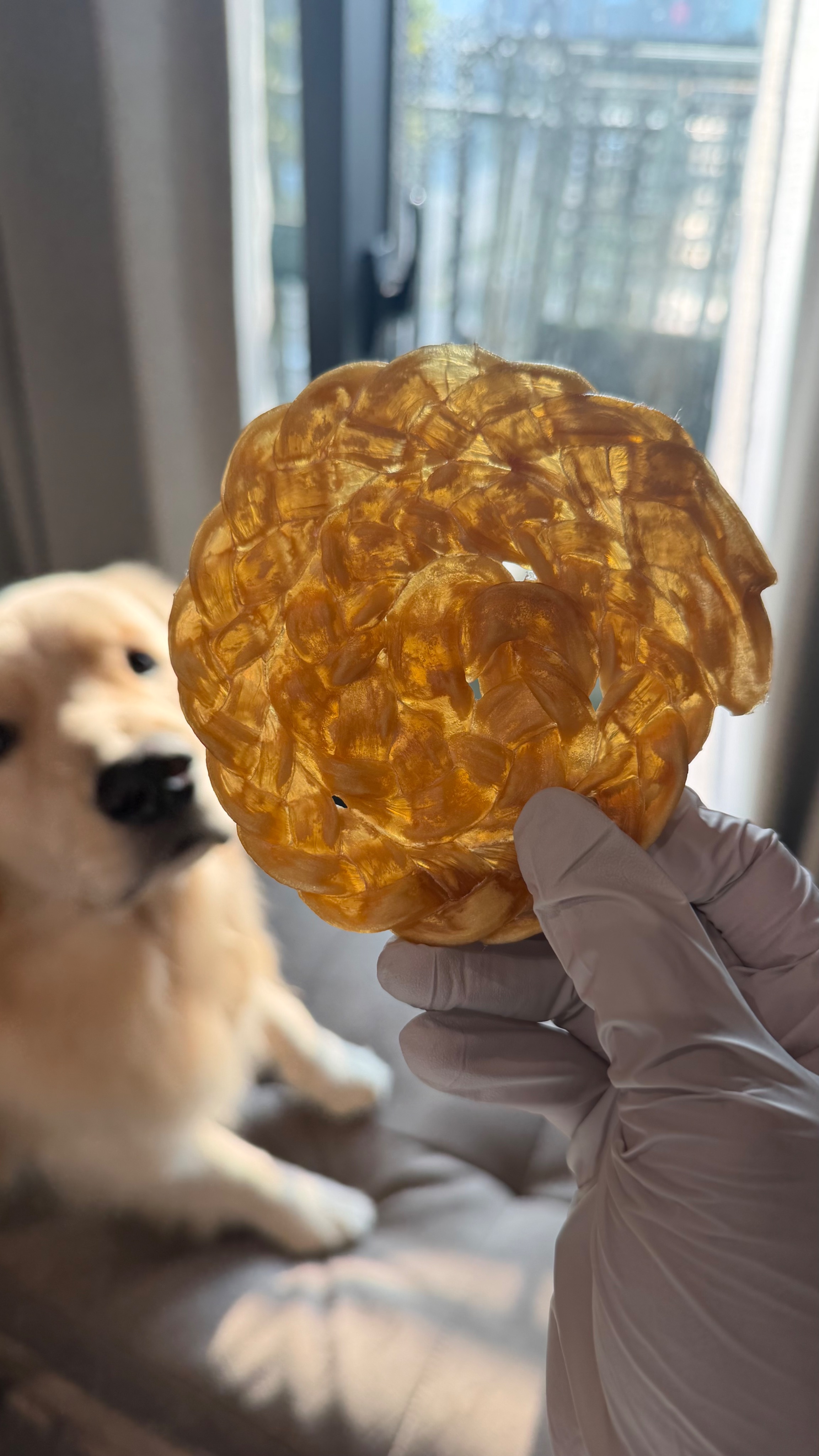 鹿皮的各種形態（4/17製作）