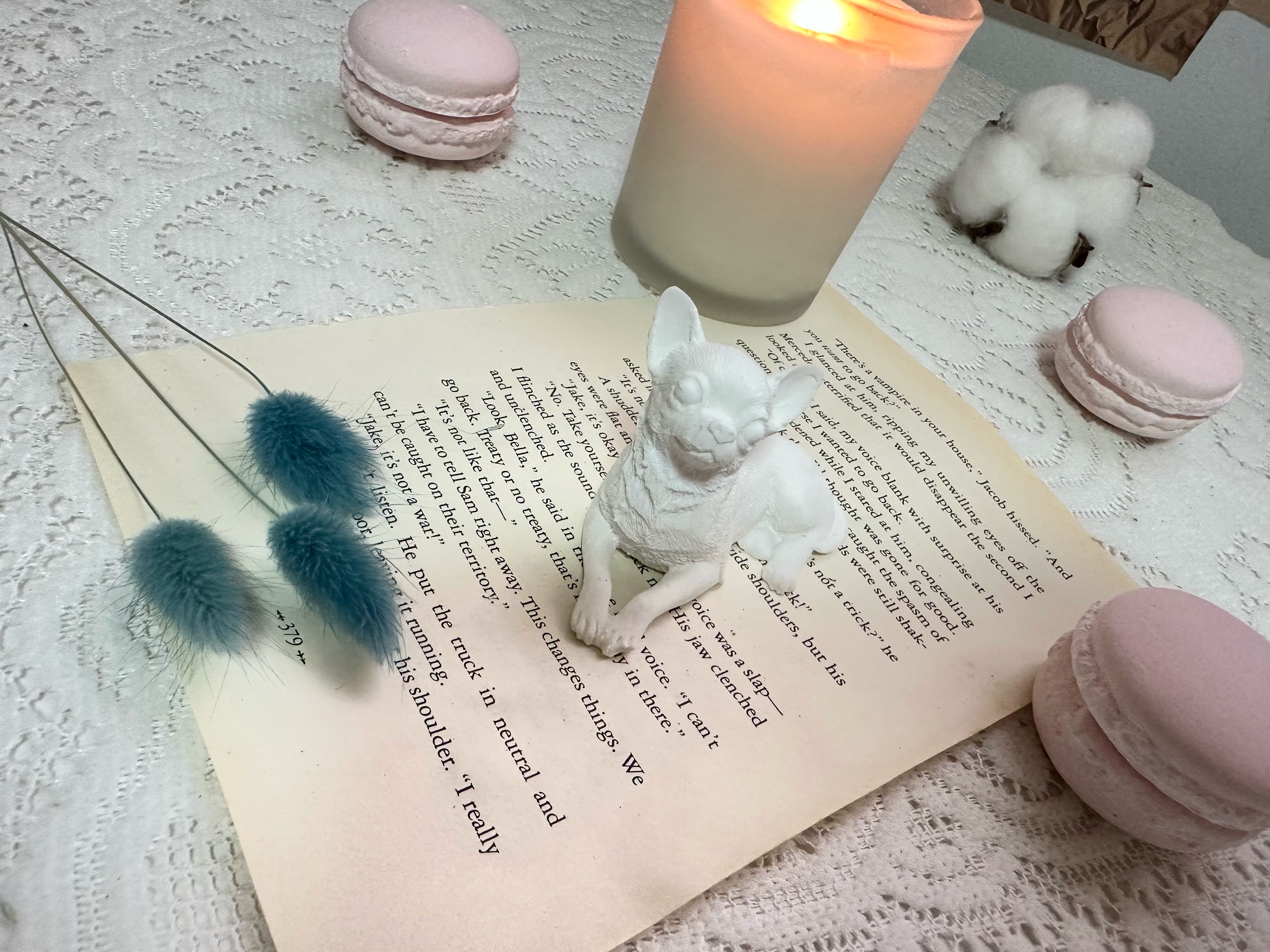 Blue Rabbittail 短毛吉娃娃造型－擴香石DIY自行上色款 🎨