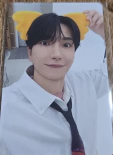 利特如圖小熊卡