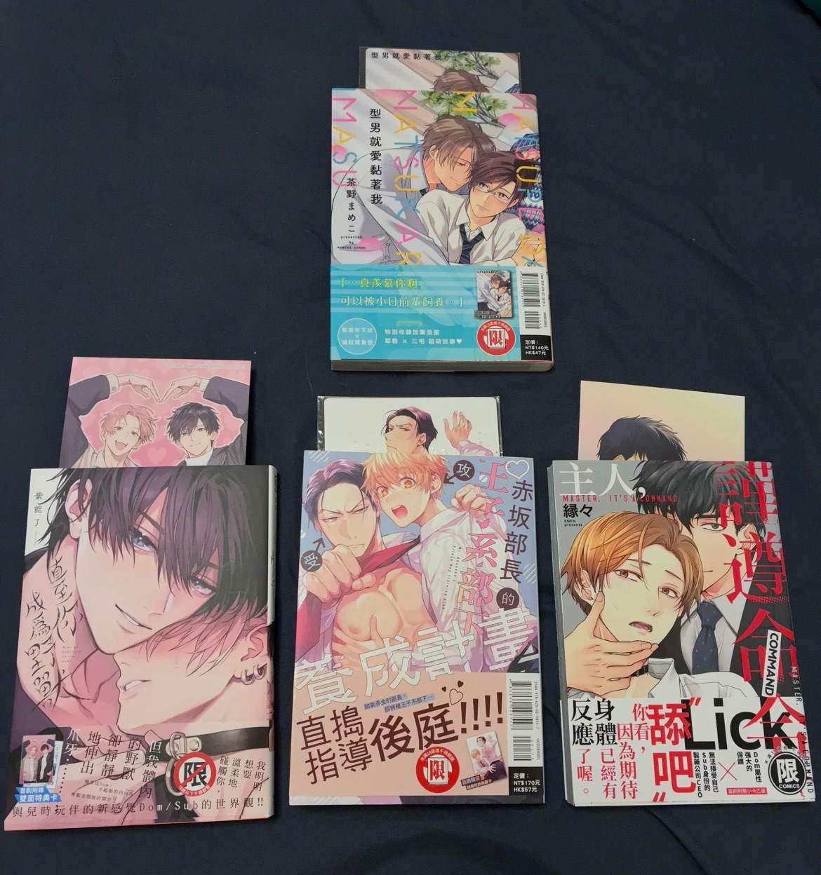 合售四本：直至你成為野獸、赤坂部長的王子系部下養成計畫、主人，謹遵命令、型男就愛黏著我