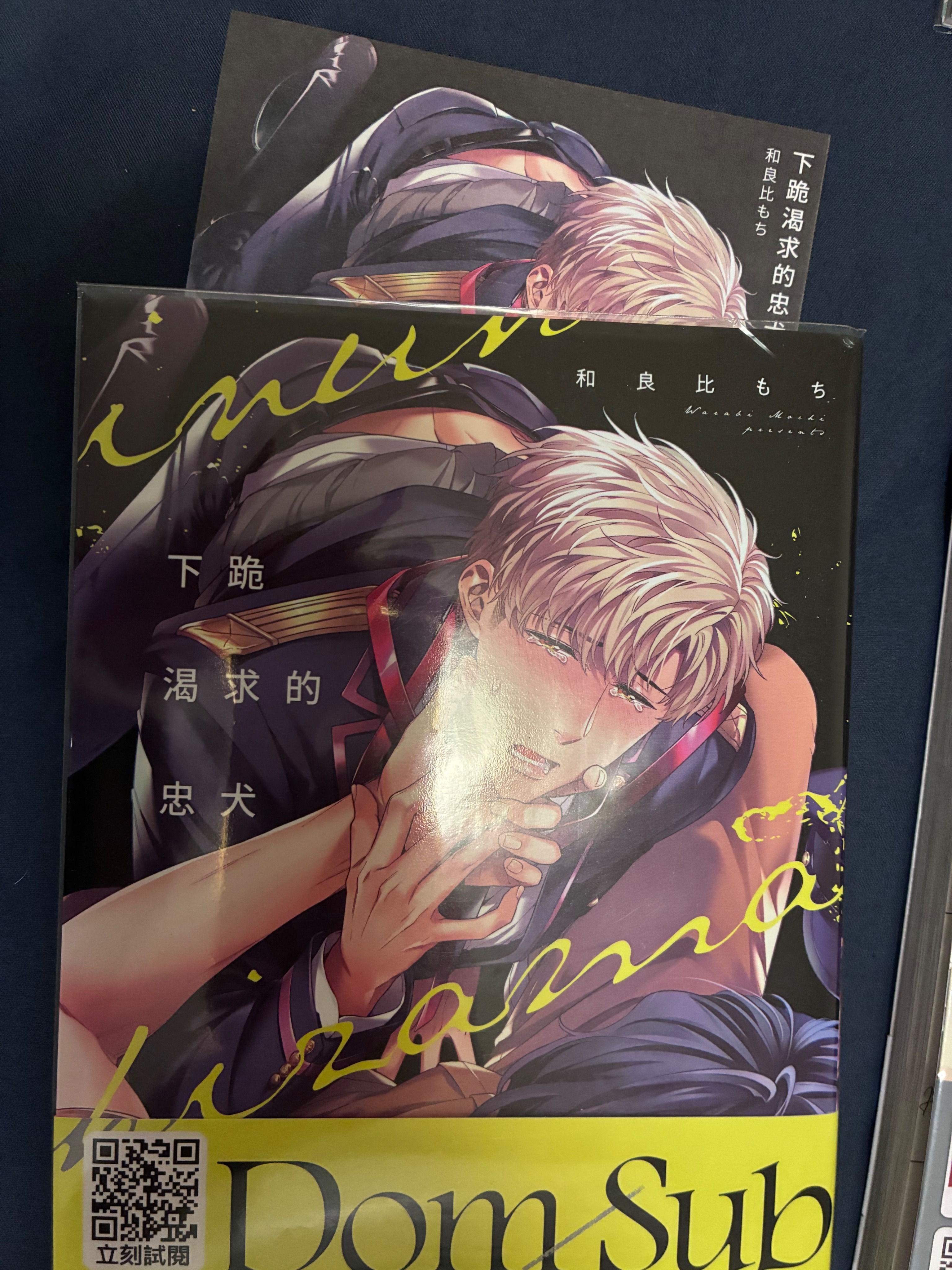 下跪渴求的忠犬