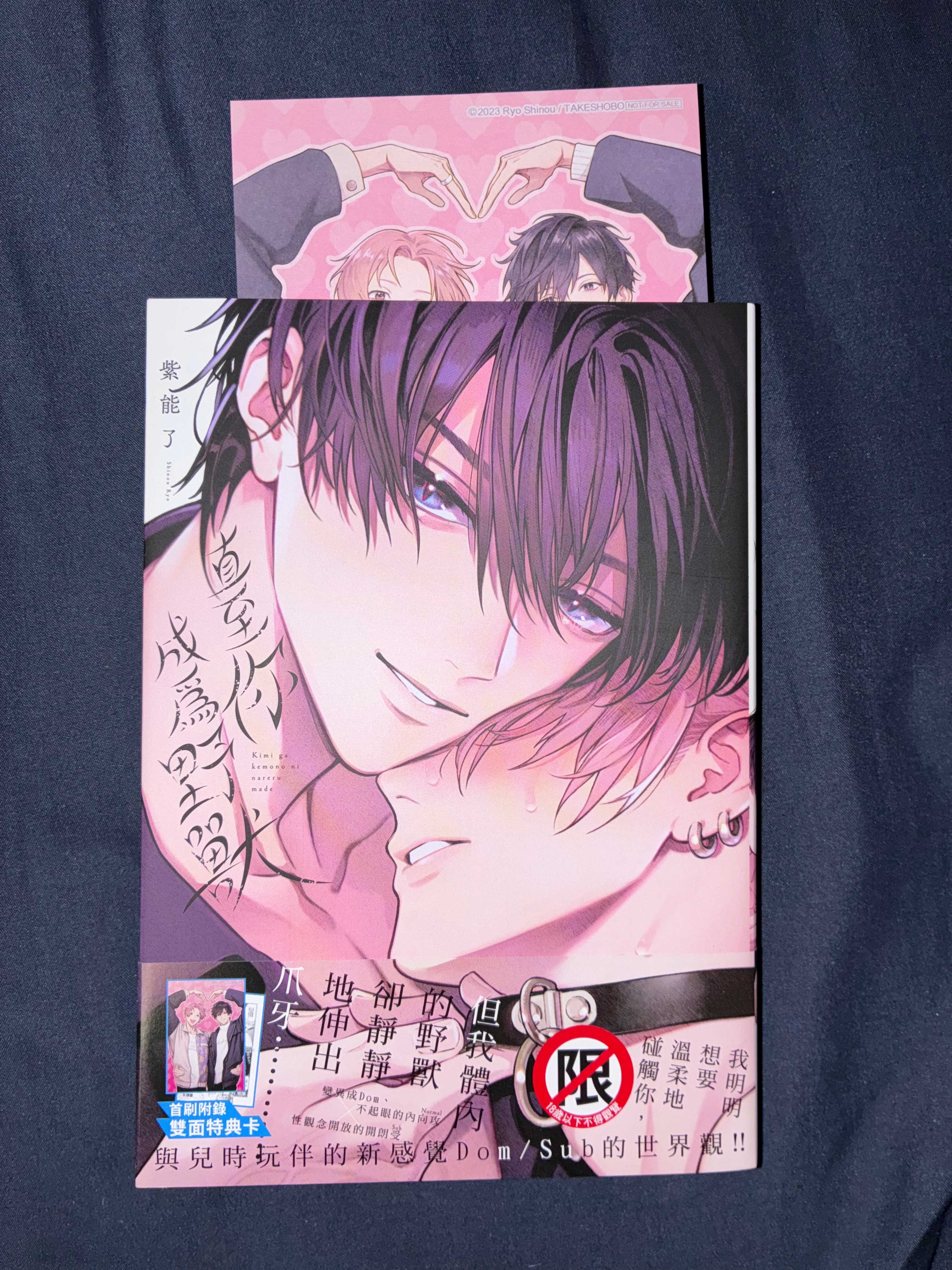 直至你成為野獸 📦請綁3本