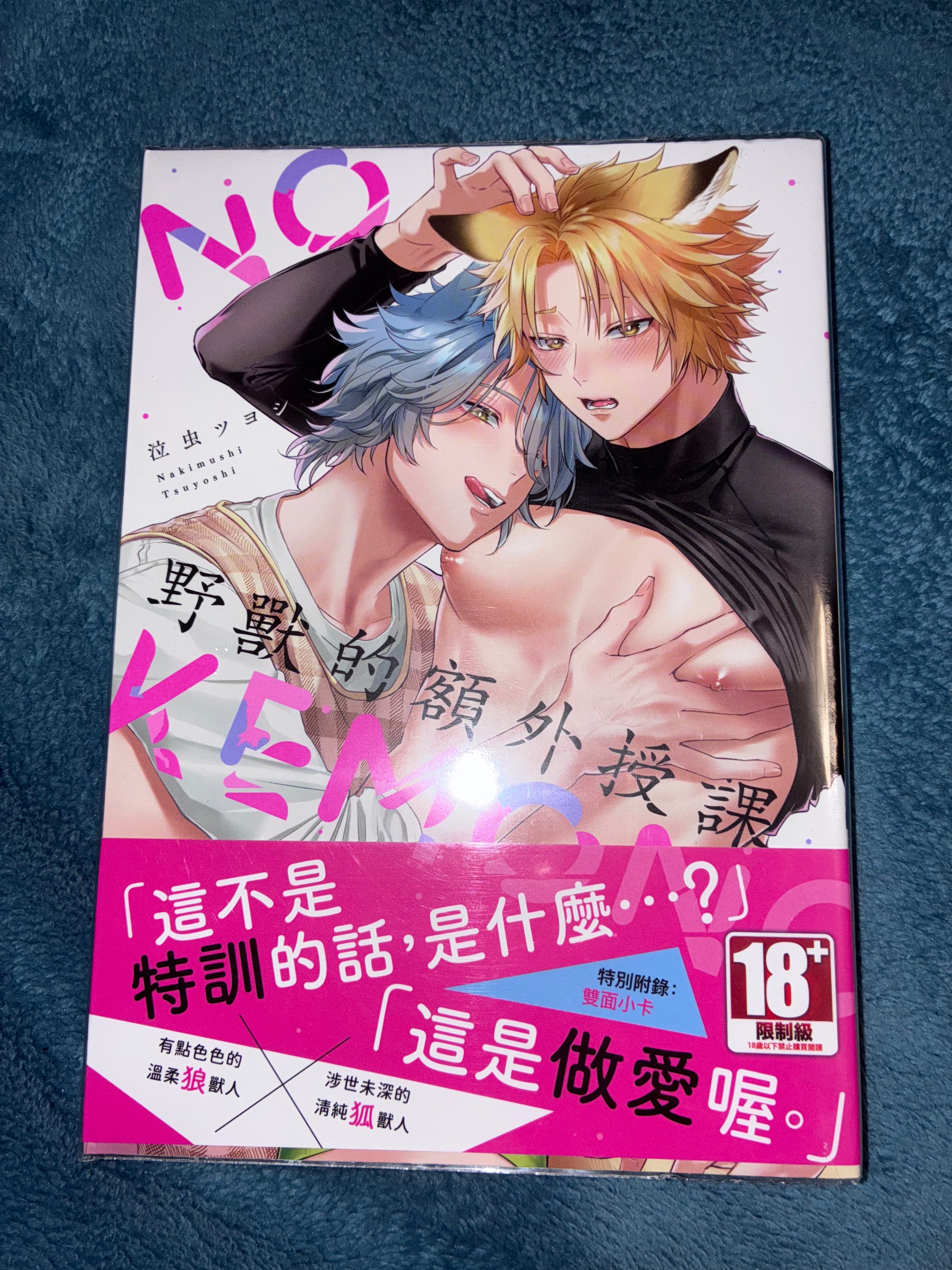 野獸的額外授課