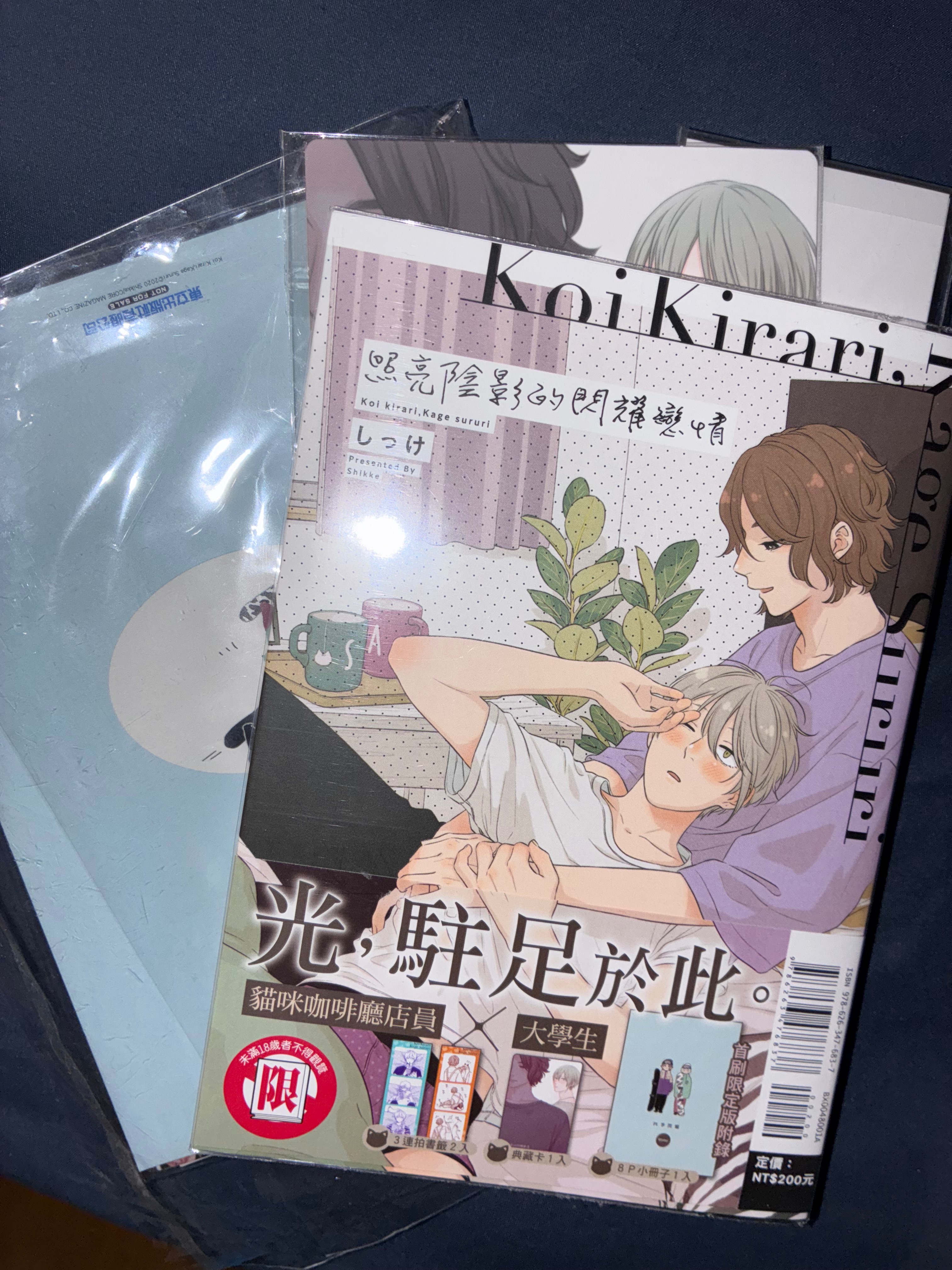 照亮陰影的閃耀戀情 全（首刷限定版）📦請綁8本