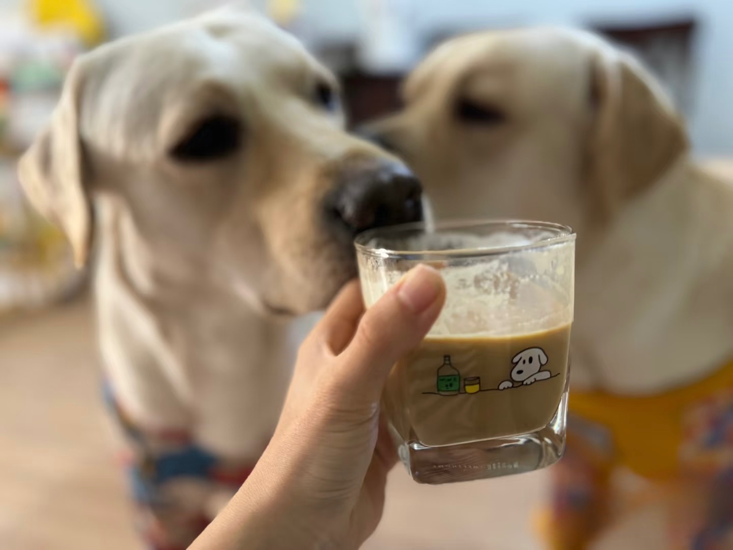 威士忌杯小狗款
