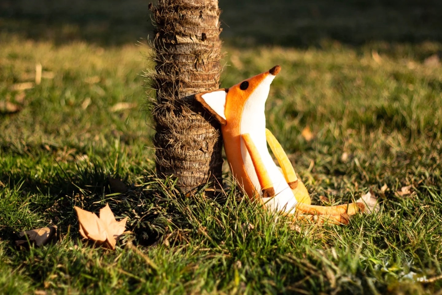 小王子的小狐狸🦊