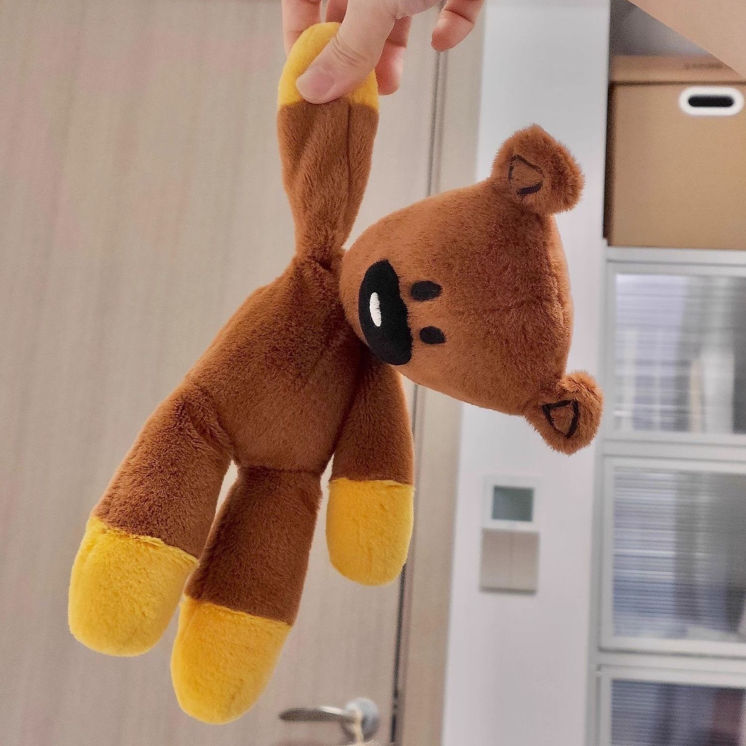 豆豆先生泰迪熊🧸