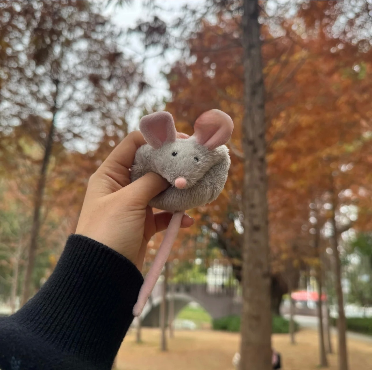 老鼠捏捏