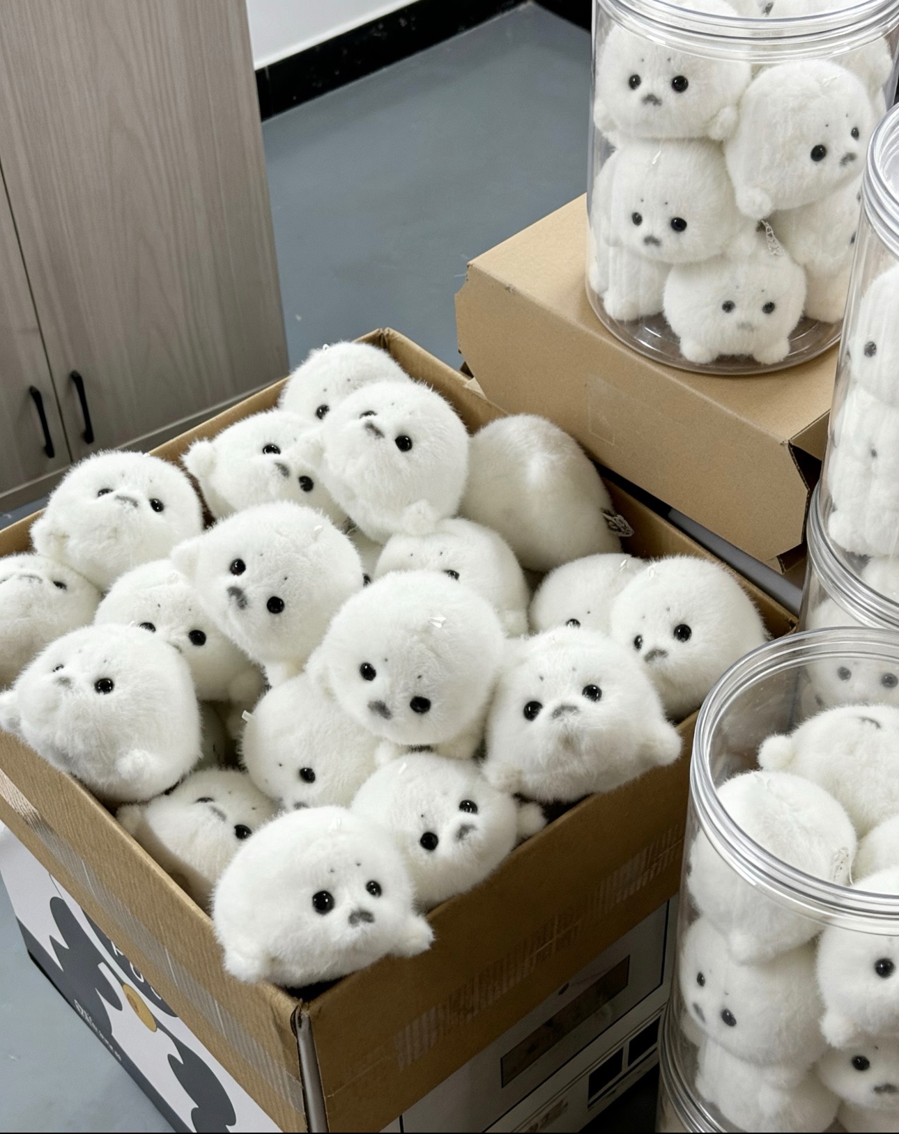 毛茸茸小海豹🦭