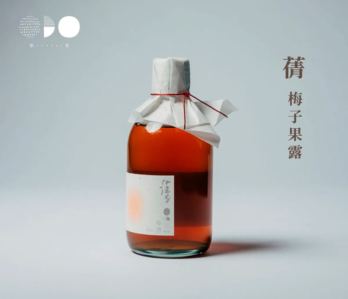 梅子酵素果露：：果實活力發酵液，熟成梅子的健康魔法：：