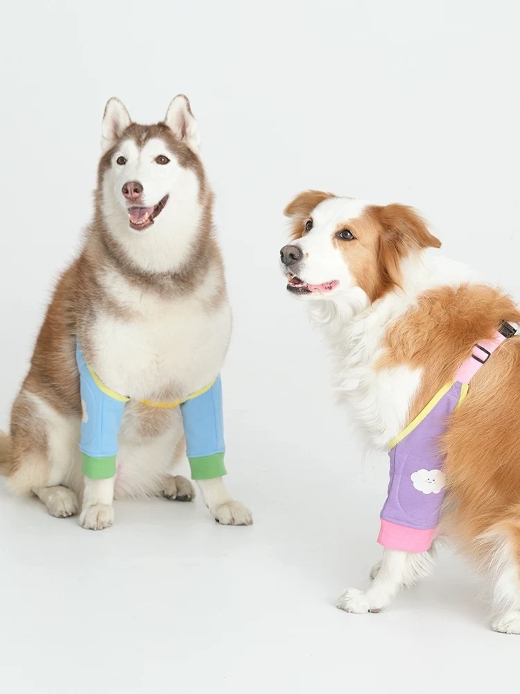 （預購） 夏天款☀️狗狗護膝護肘