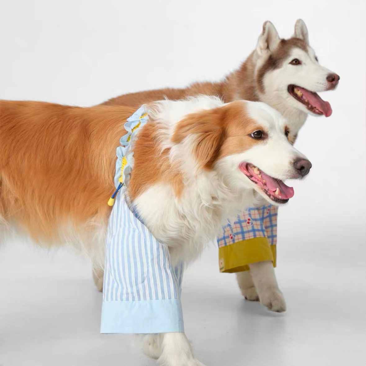 （預購） 冬天款❄️狗狗護膝護肘