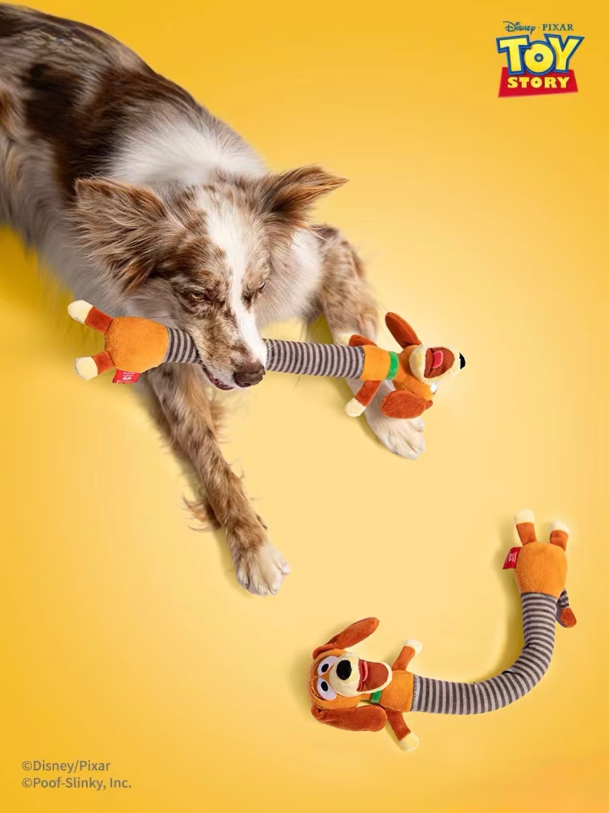 （預購） 彈簧狗發聲玩具