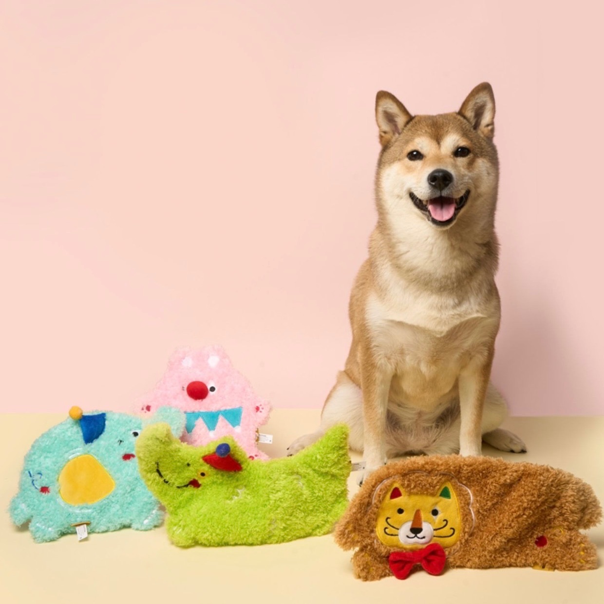 （預購）磨牙發聲玩具