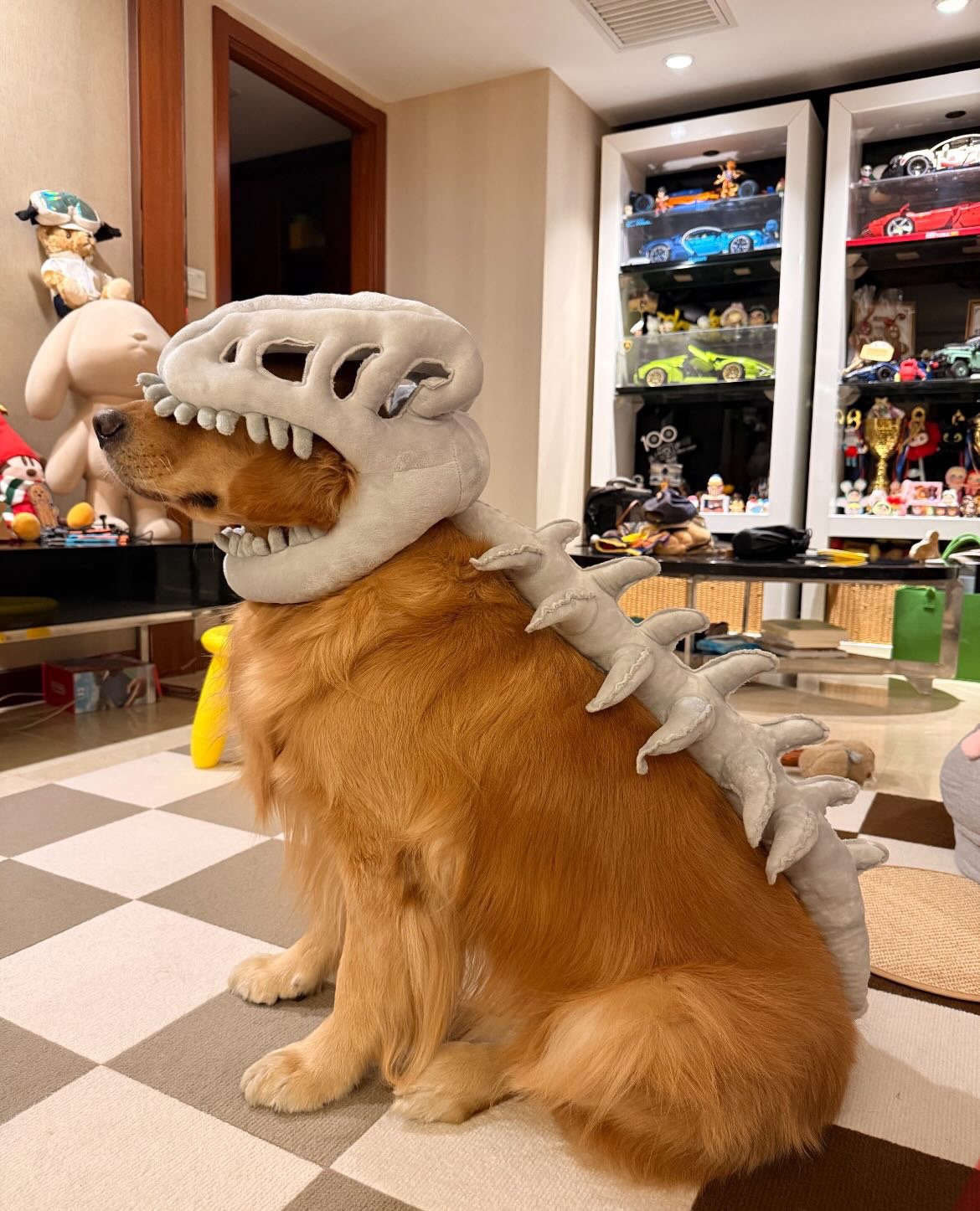 （預購）恐龍骨架