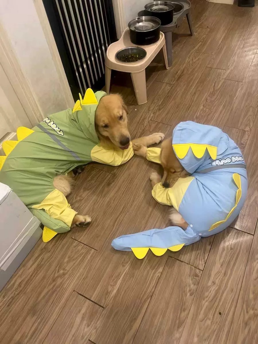 （預購） 恐龍雨衣