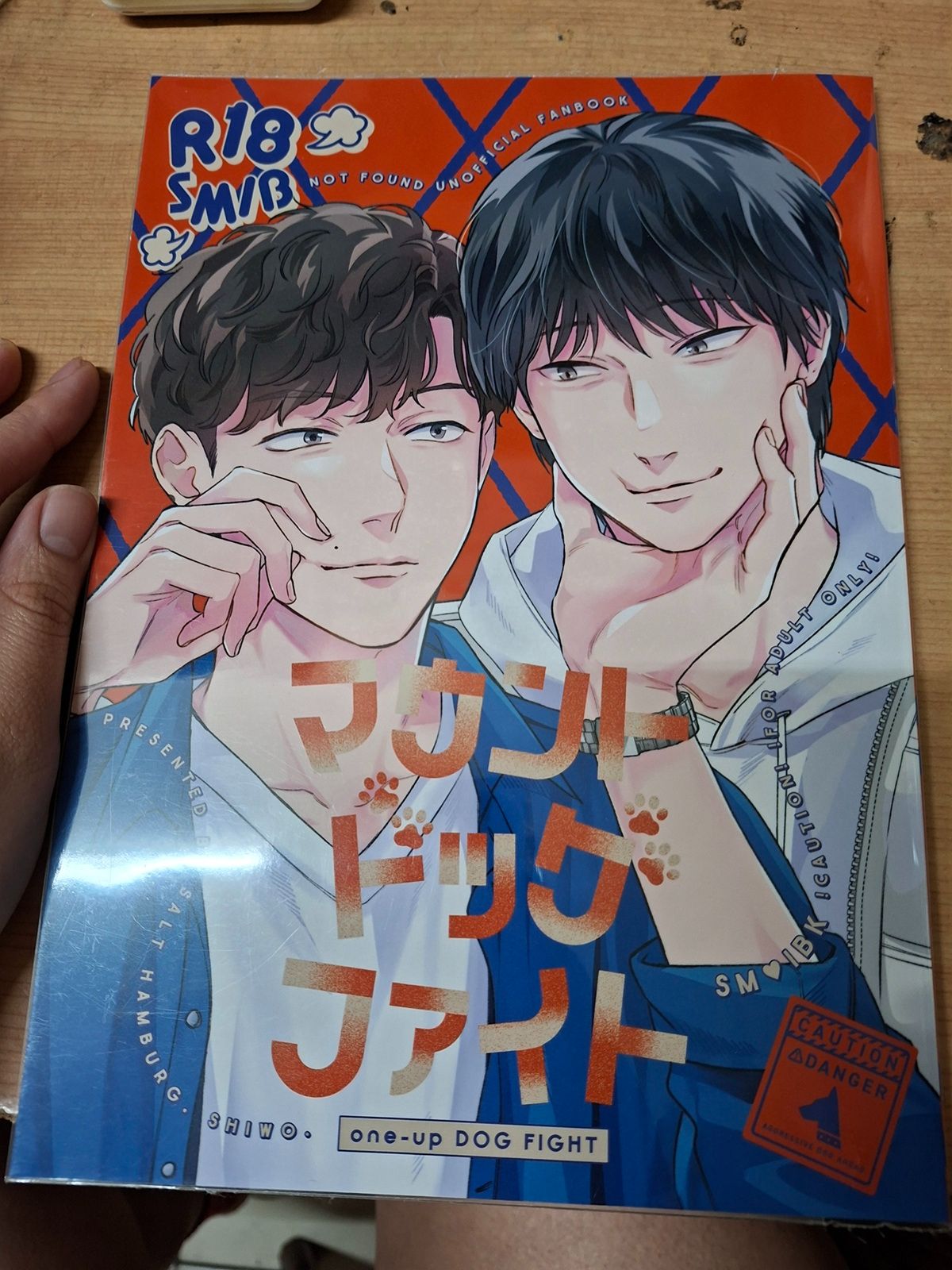 SMIB 日文 簡中 同人 MIU404 志伊