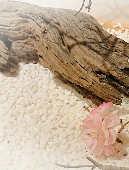 手續費