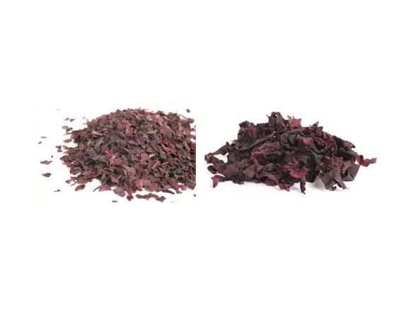 希爾林療癒系 頂級大西洋紅藻