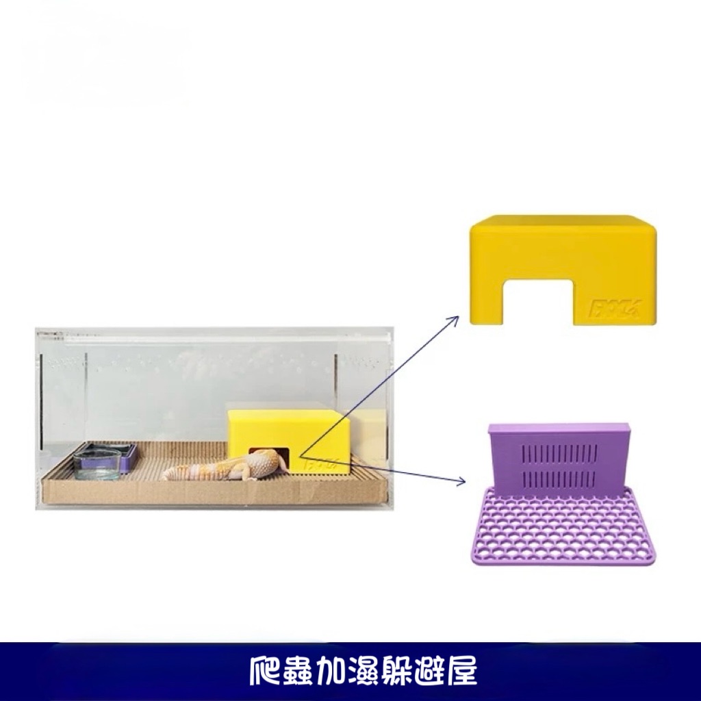 （預購）爬蟲加濕躲避屋