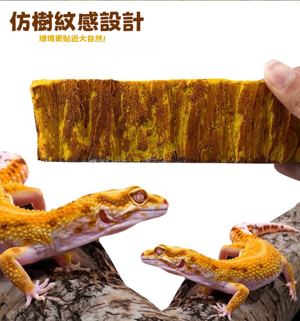 （預購） 半自動飲水盆