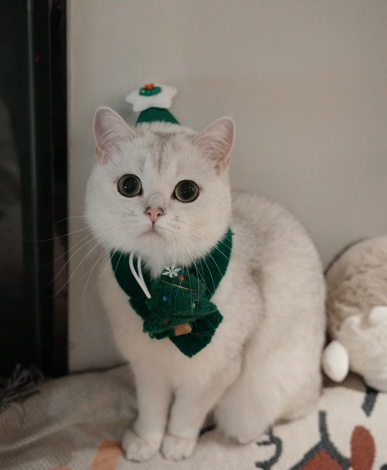 （預購）聖誕節圍巾