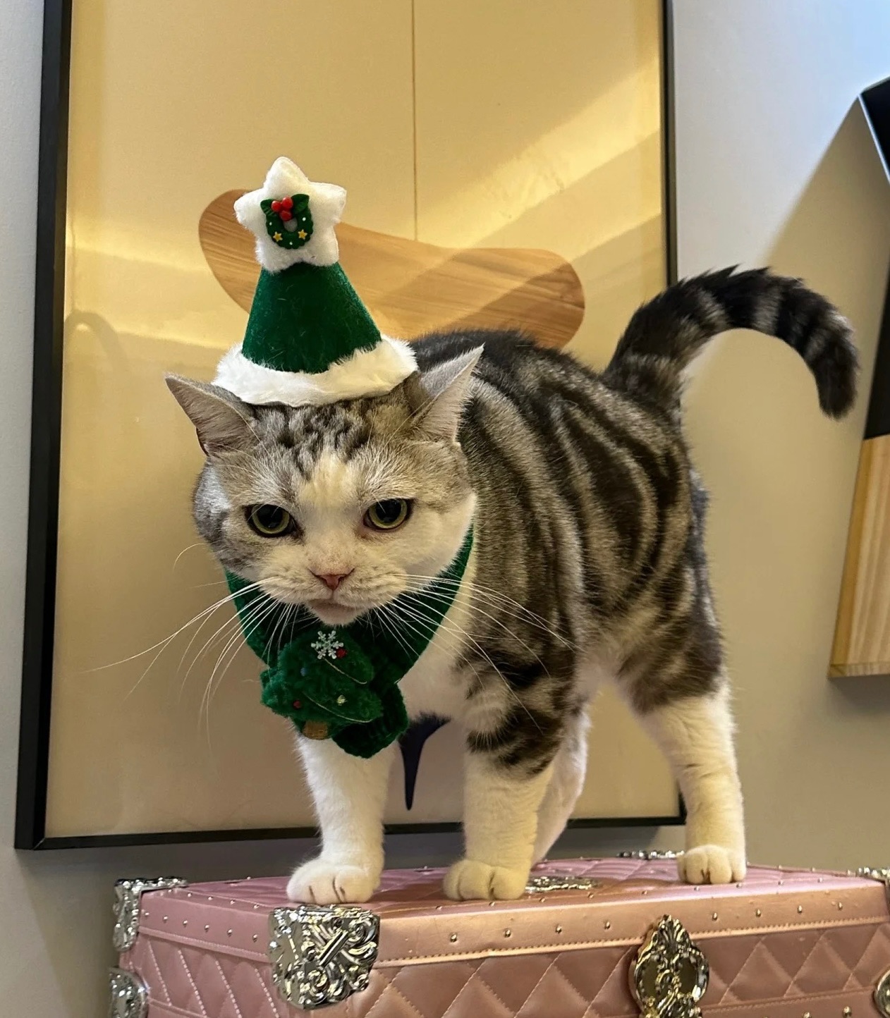 （預購）聖誕帽