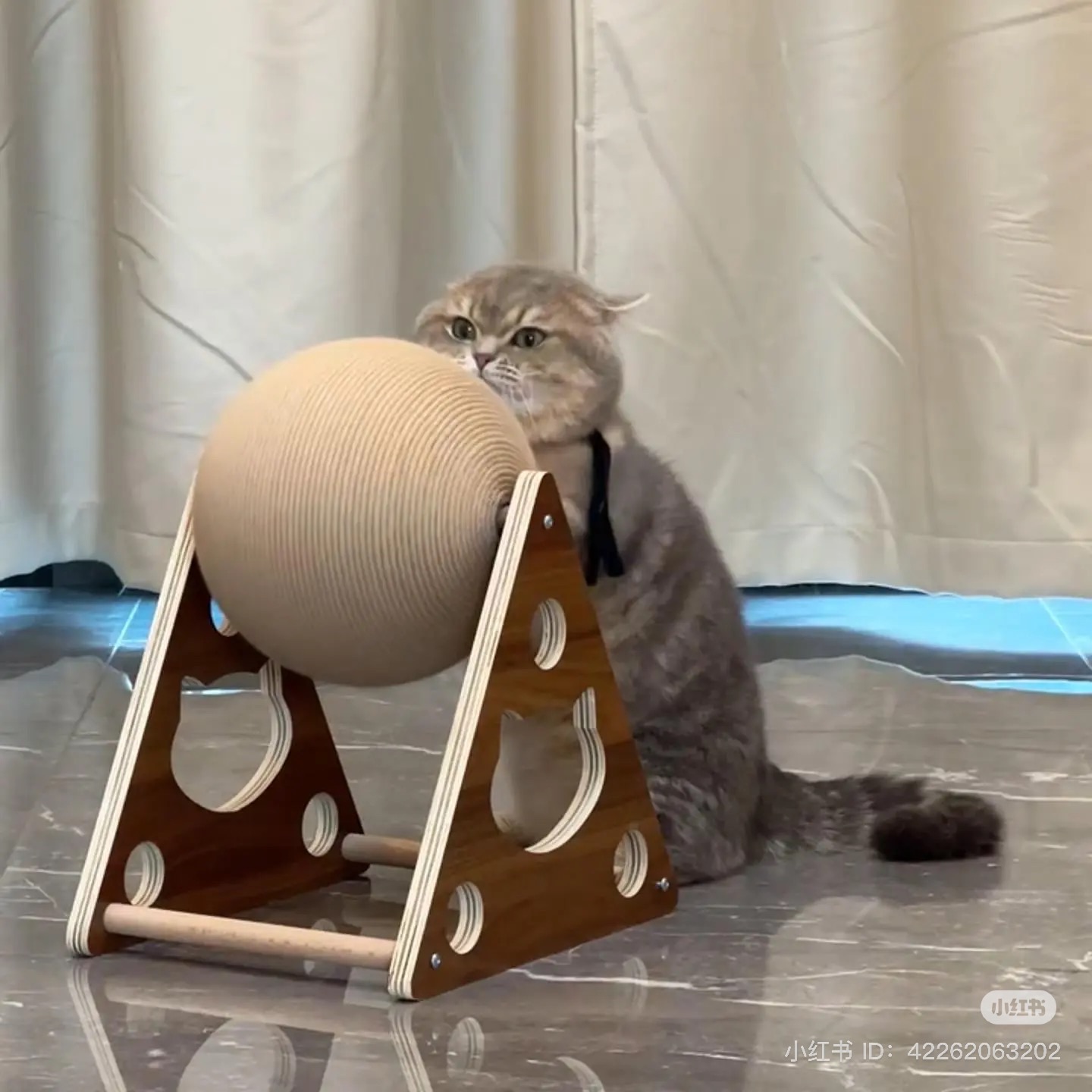 （預購） 摩天輪抓抓樂 🎡