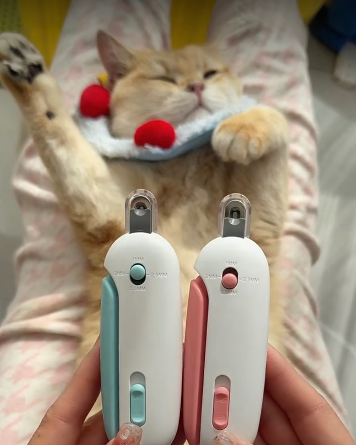 （預購） 引力推推剪