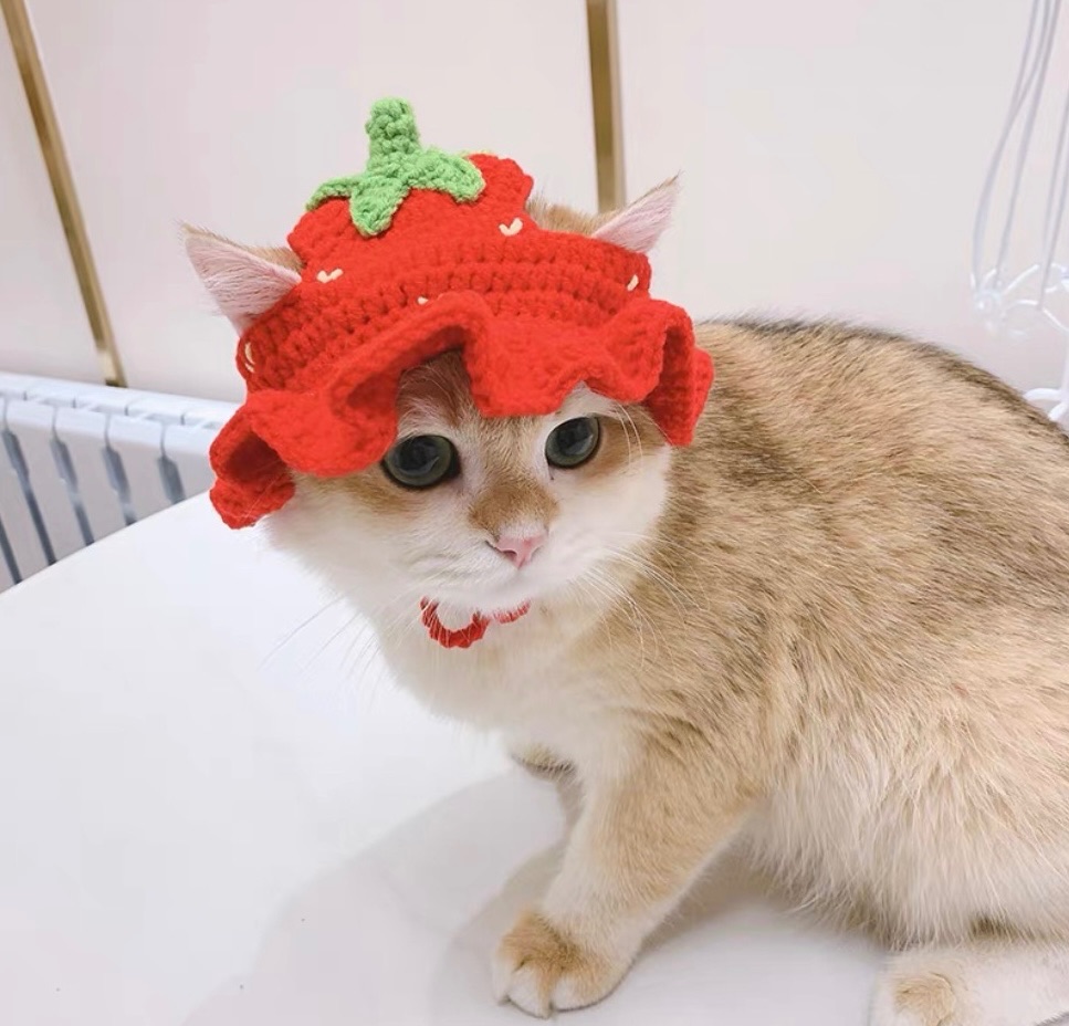 （預購） 草莓小帽