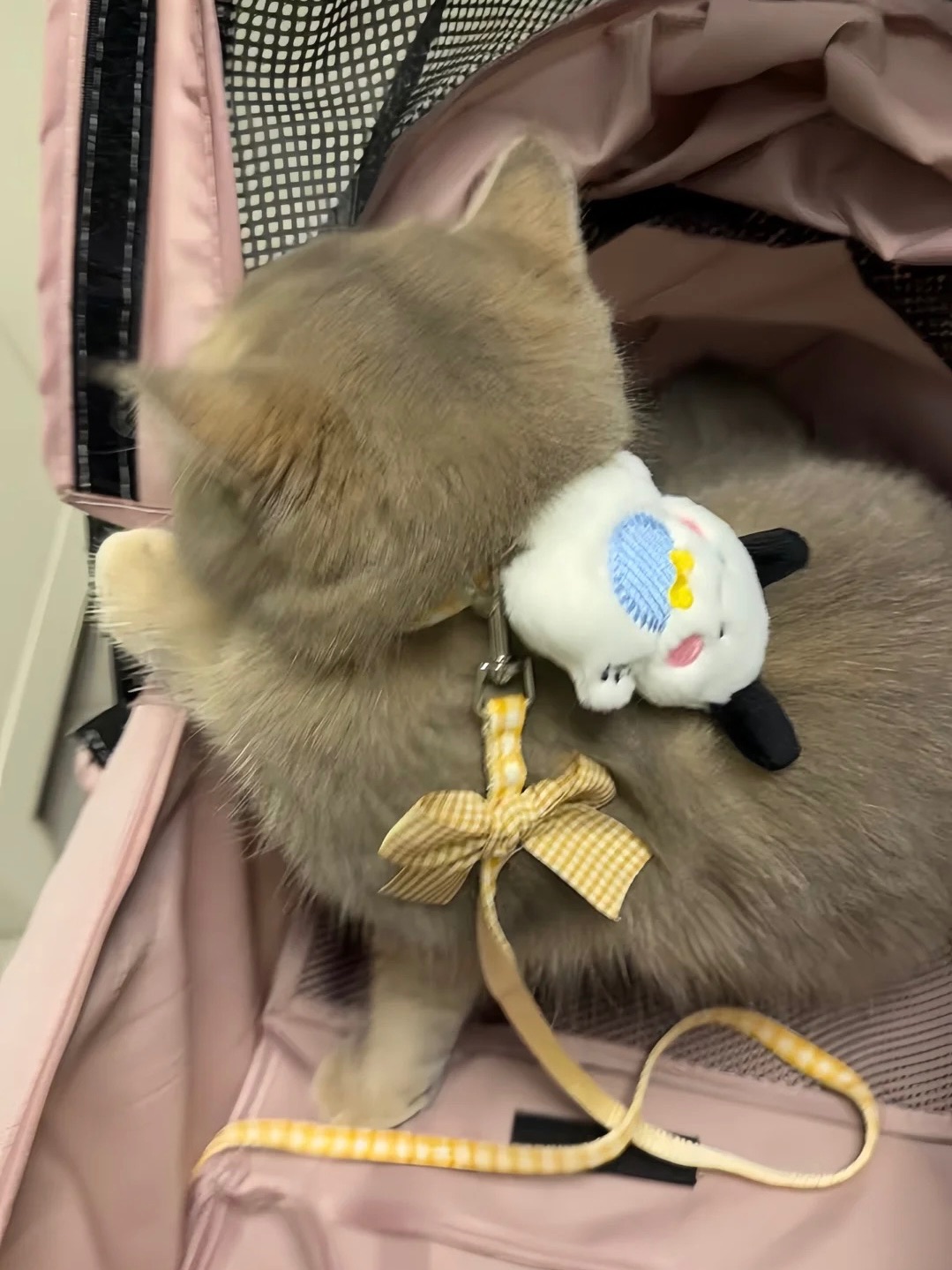 （預購）三麗鷗系列背帶牽繩