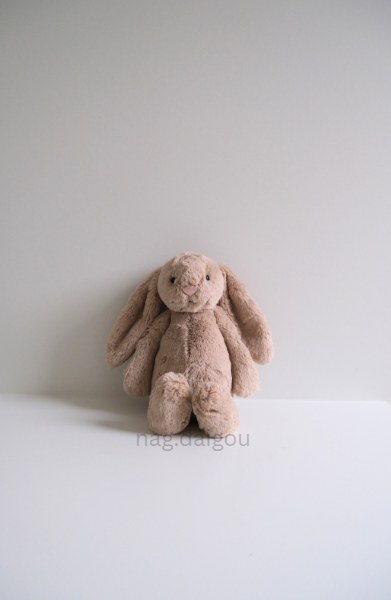 Jellycat 兔兔系列🐇（36cm和51cm的兔兔也可詢問喲）