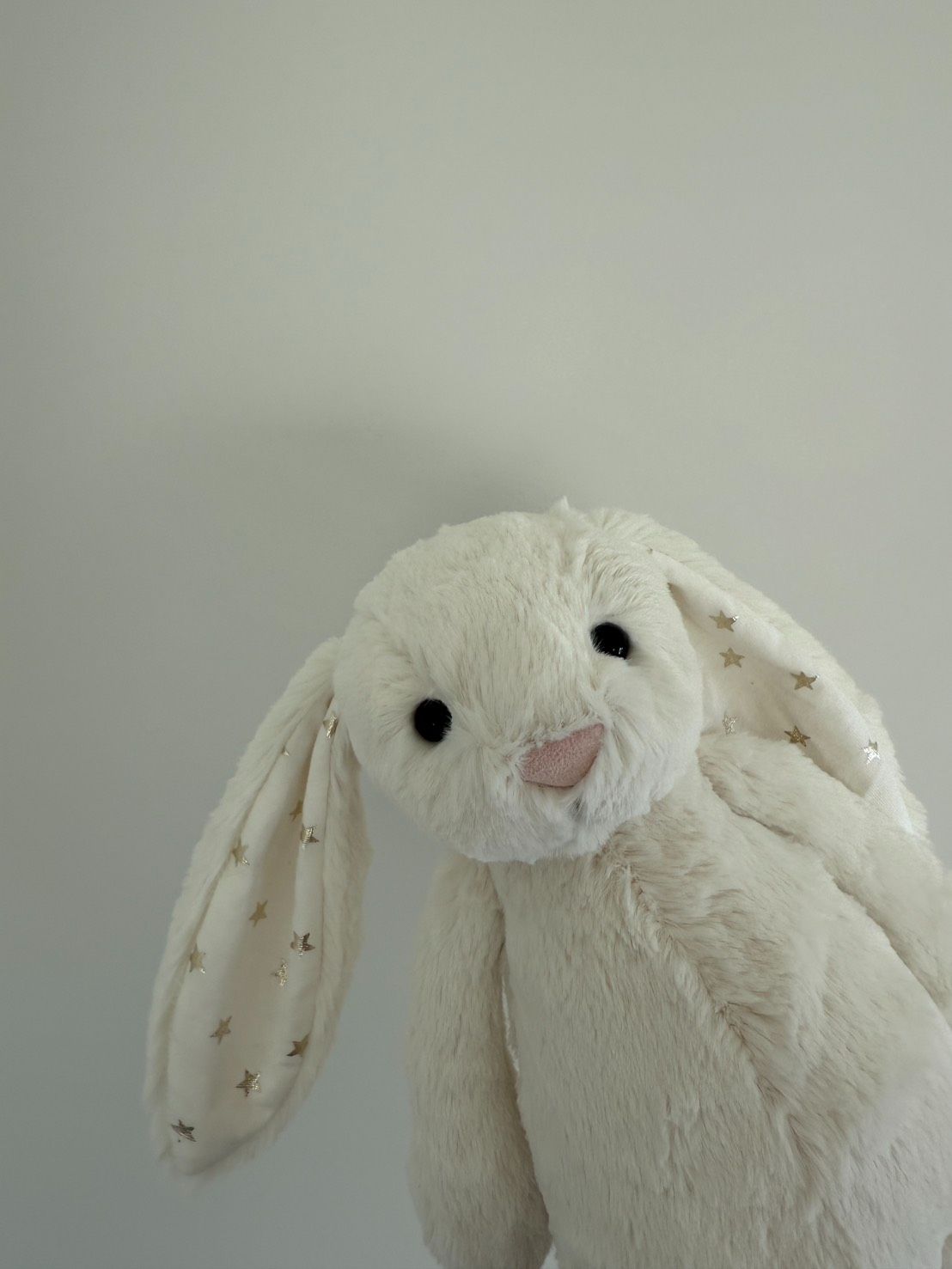 Jellycat | 現貨兔兔專區