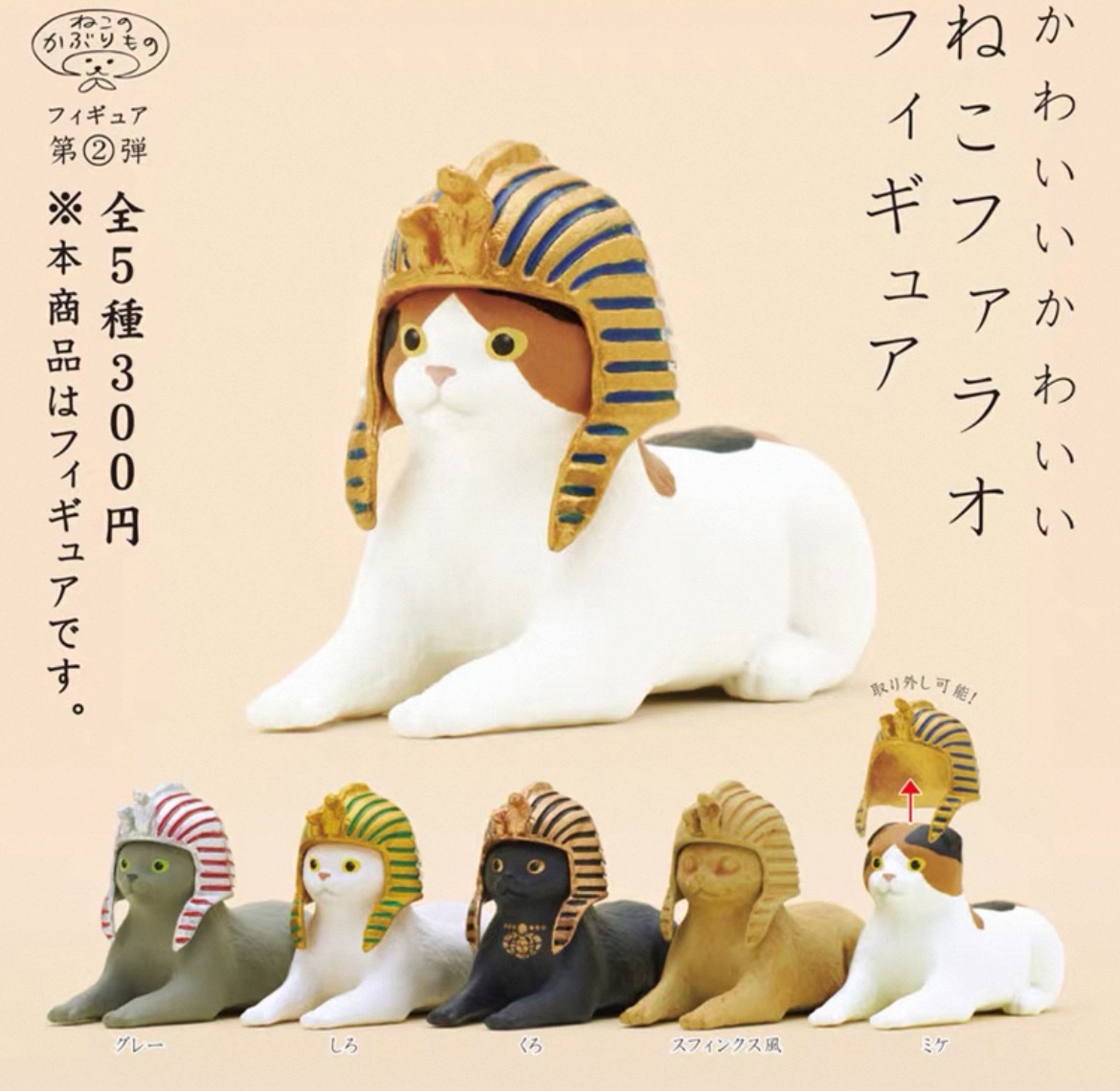 法老頭套貓貓