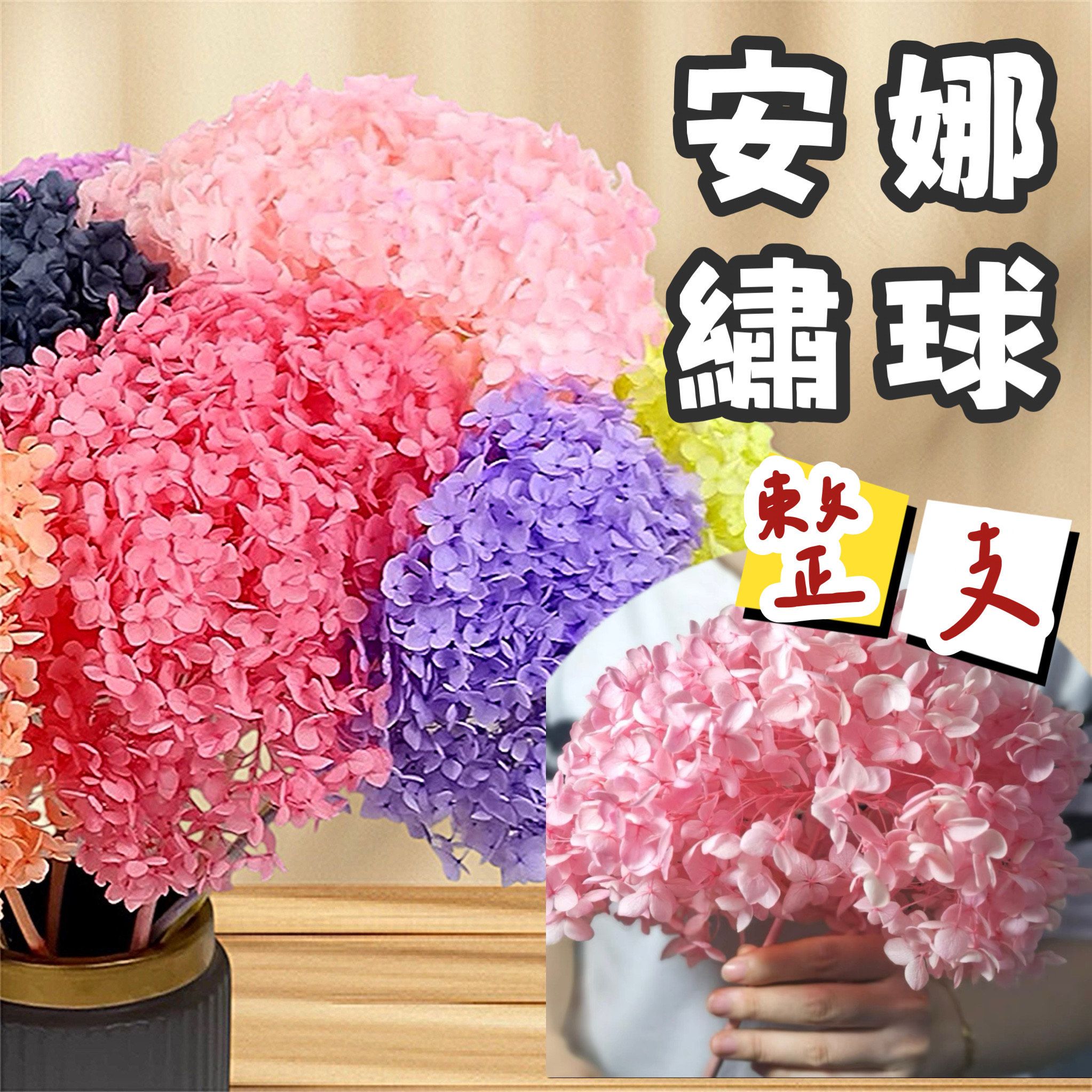 【璟采職人】永生繡球 單支 安娜繡球 繡球花