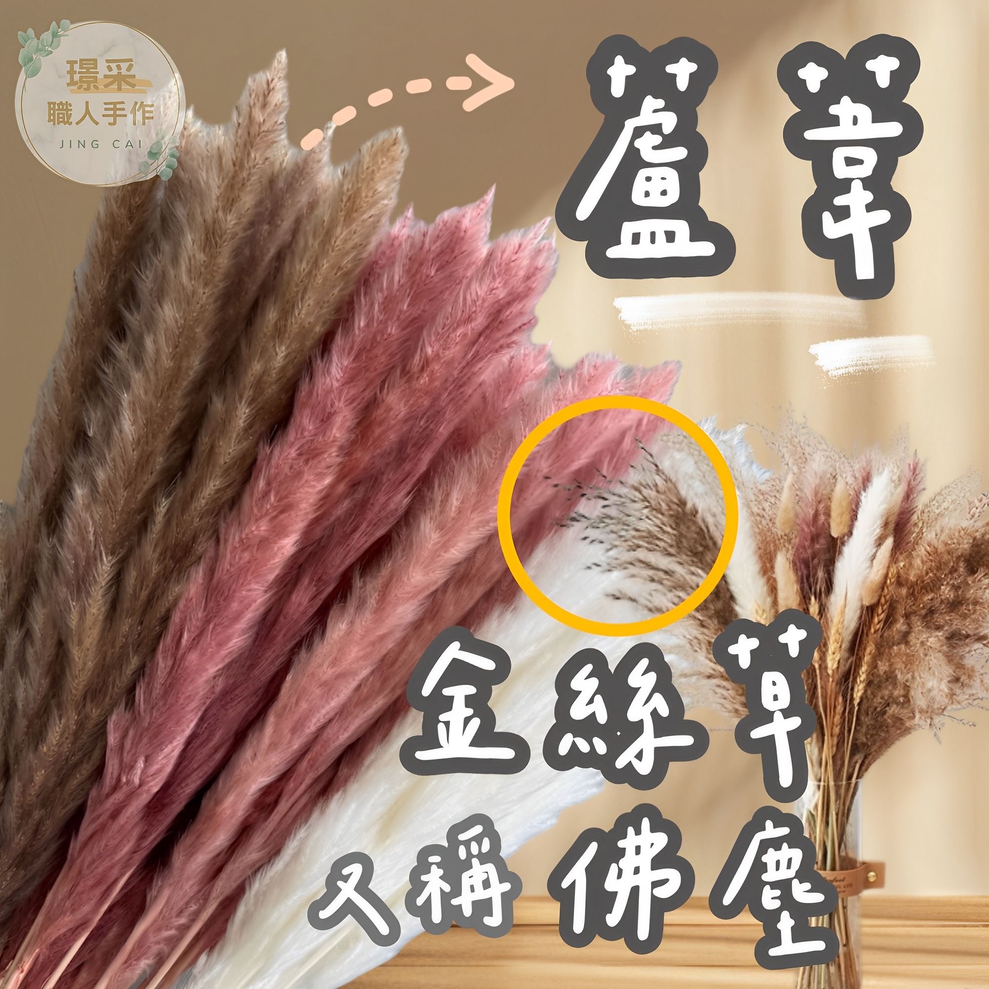 【璟采職人】蘆葦 小蘆葦 蘆葦草 佛塵 金絲草