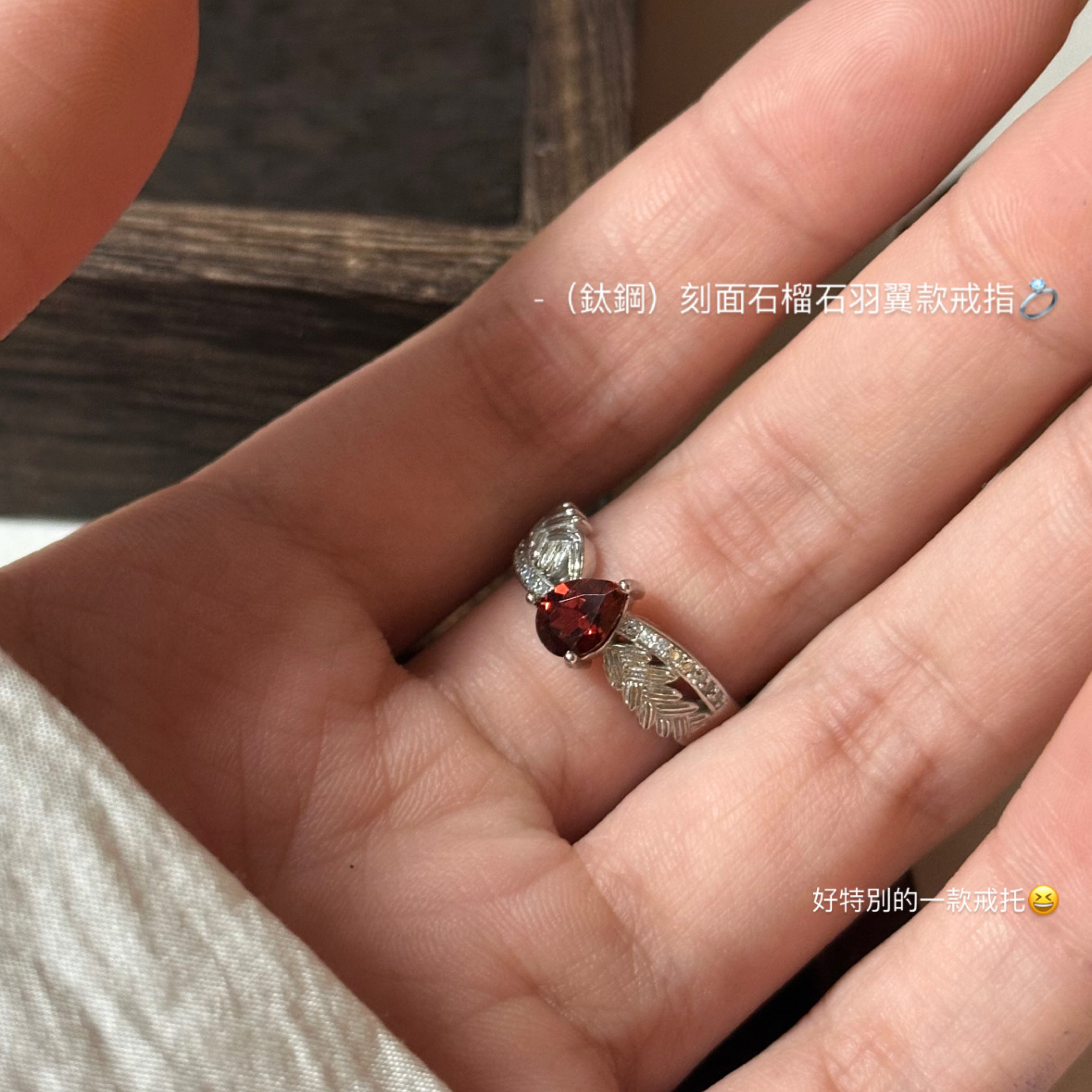 （鈦鋼）刻面石榴石羽翼款戒指💍