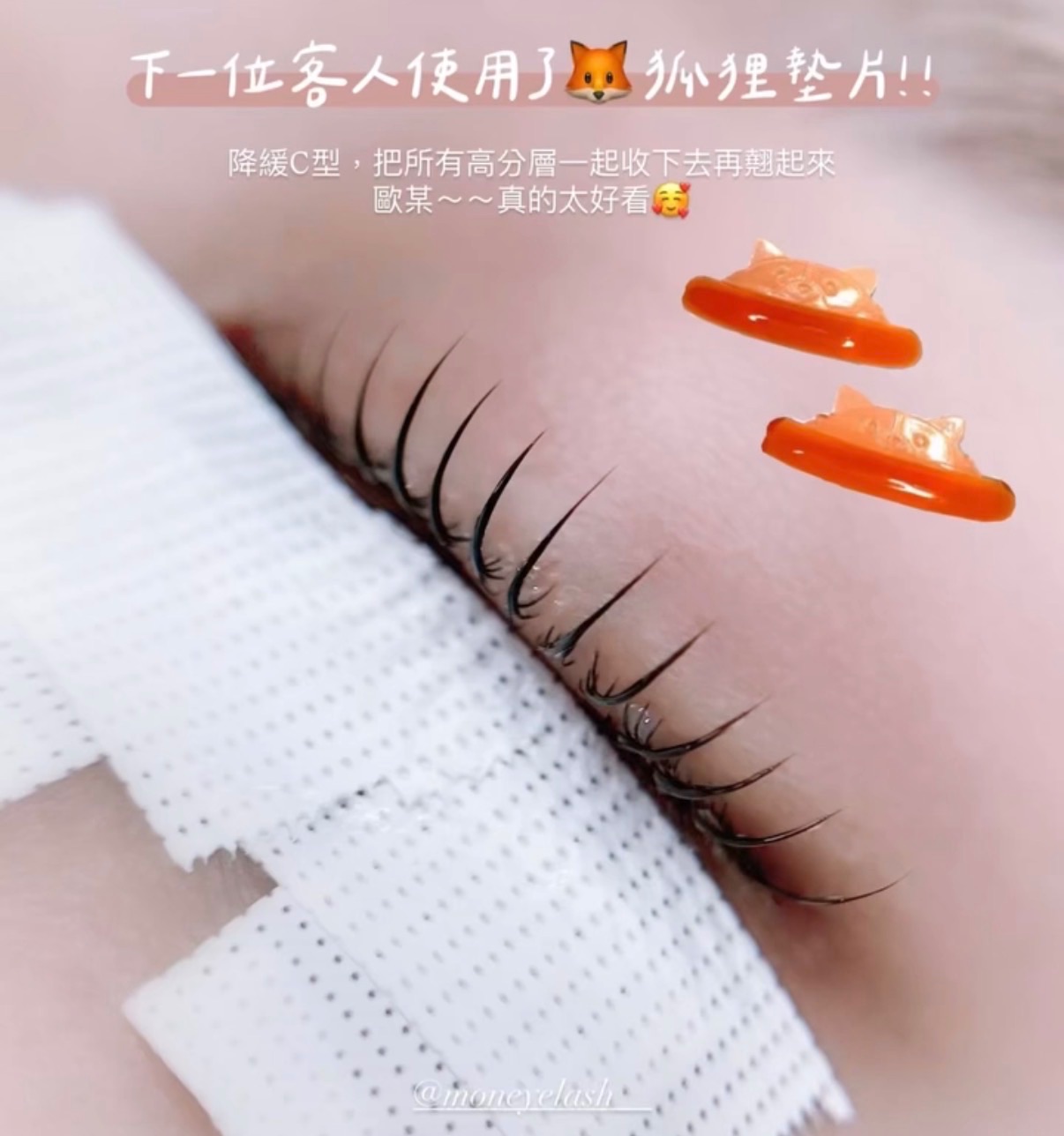 🦊狐狸墊片Fox rod