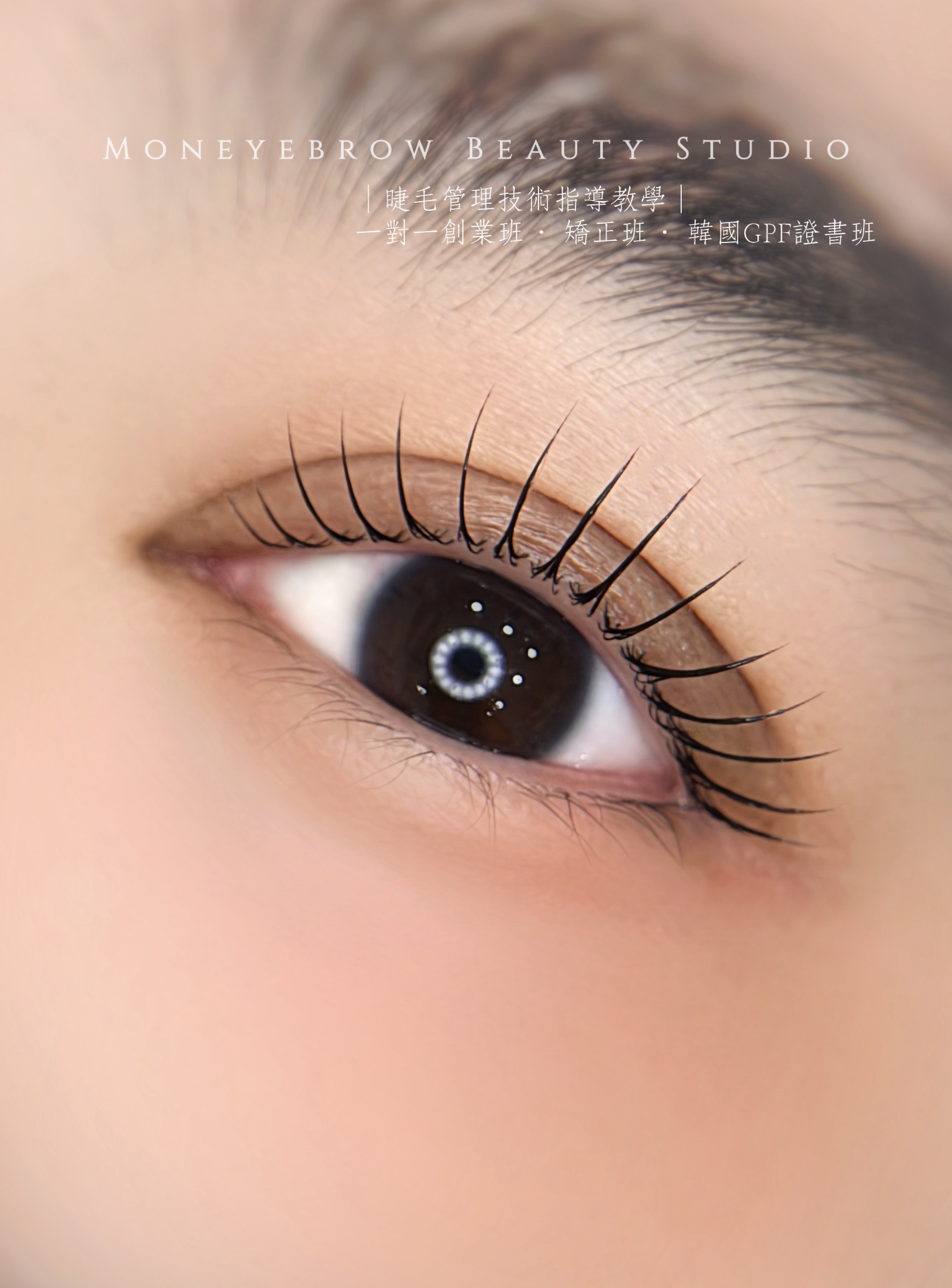 🐚貝殼墊片Shell rod