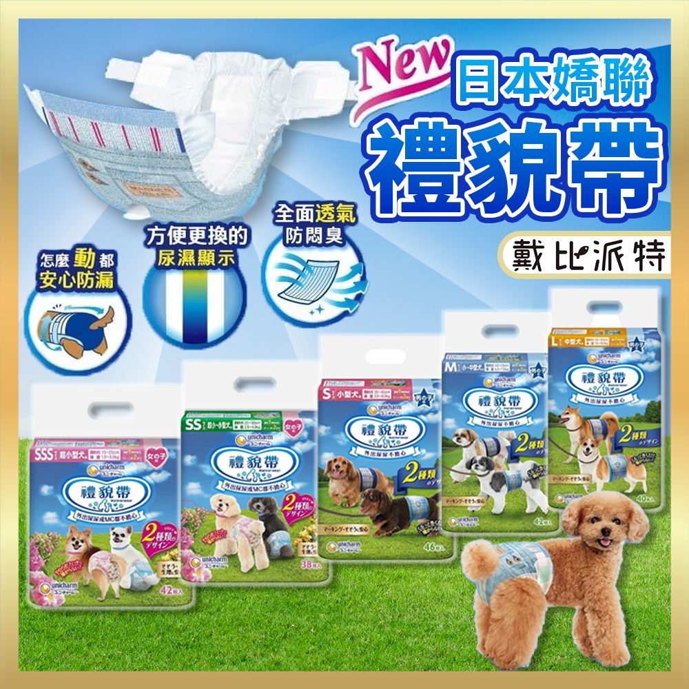 日本嬌聯 禮貌帶