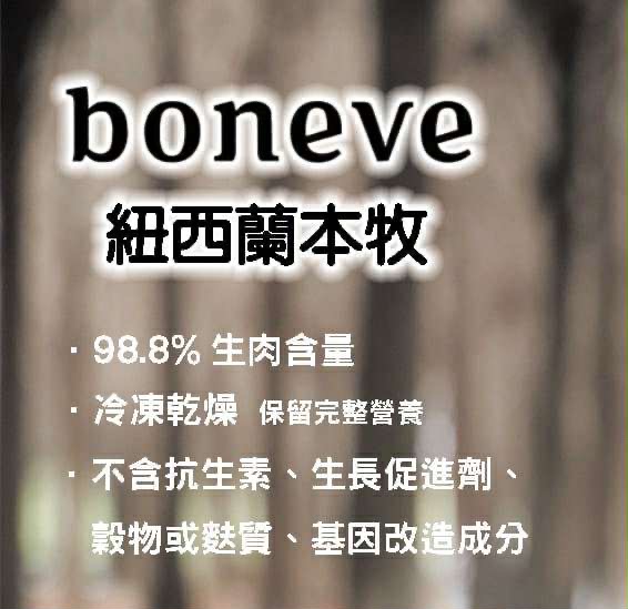 ❤️紐西蘭本牧