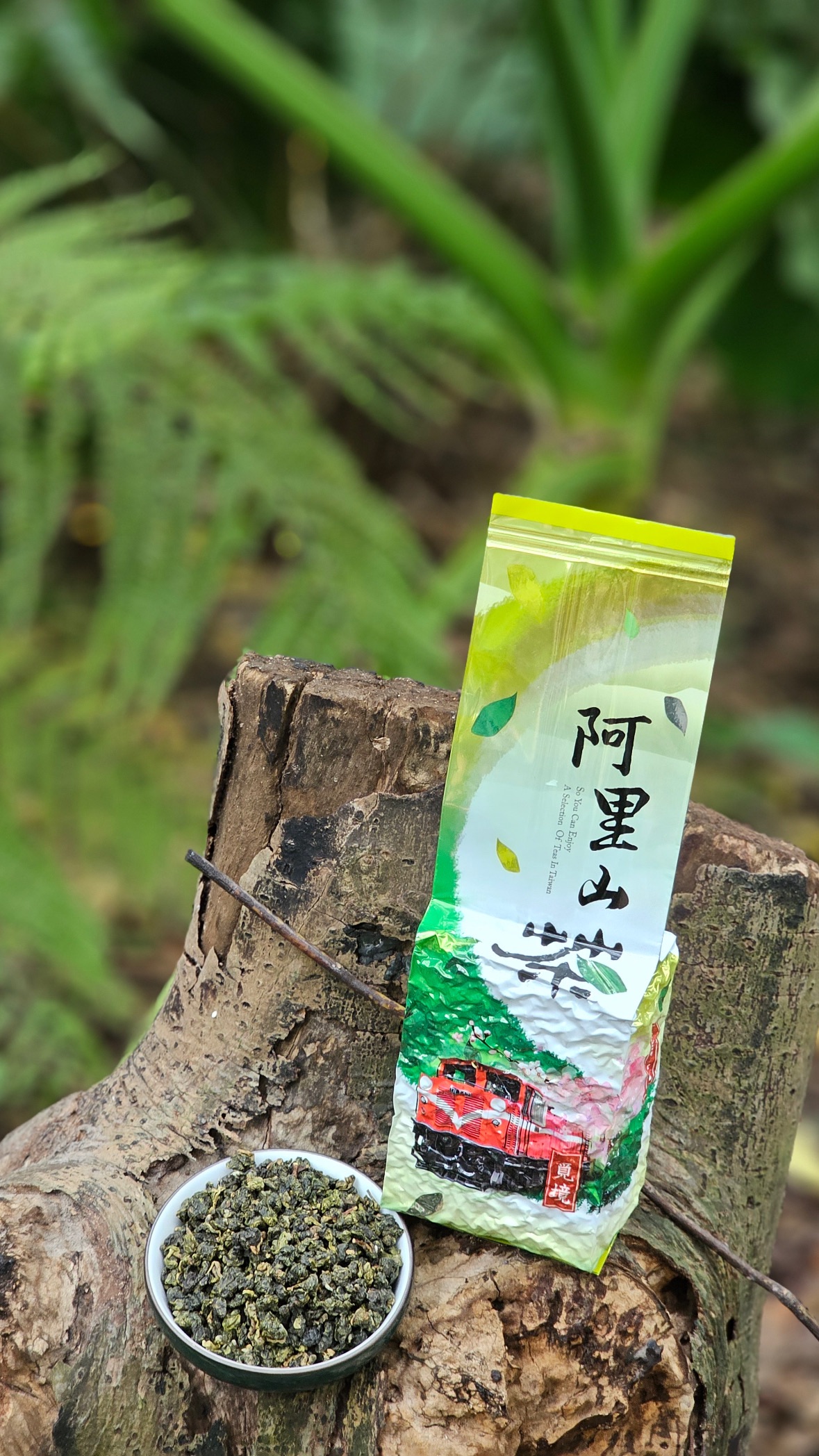 阿里山烏龍（生茶）