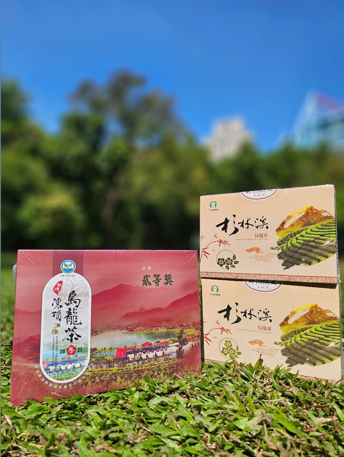 竹山鎮農會杉林溪比賽茶