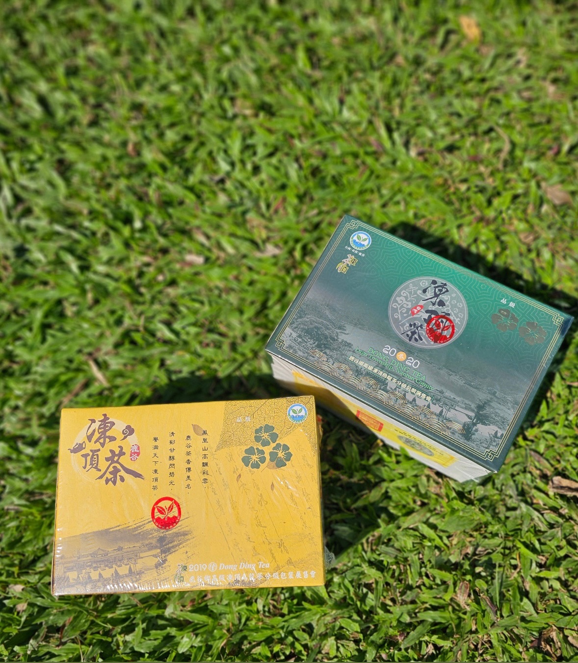 鹿谷凍頂茶葉合作社比賽茶